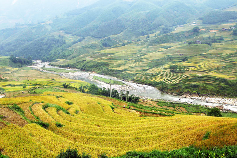 Sapa Tour: Visit Cat Cat, Lao Chai - Ta Van and transfer ...