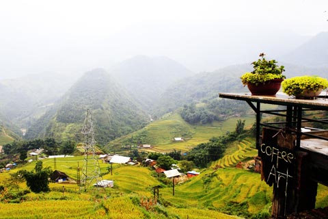 Sapa Tour: Cat Cat, Ham Rong, Fansipan peak and transfer by Bus